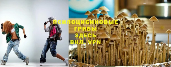 тгк Балабаново