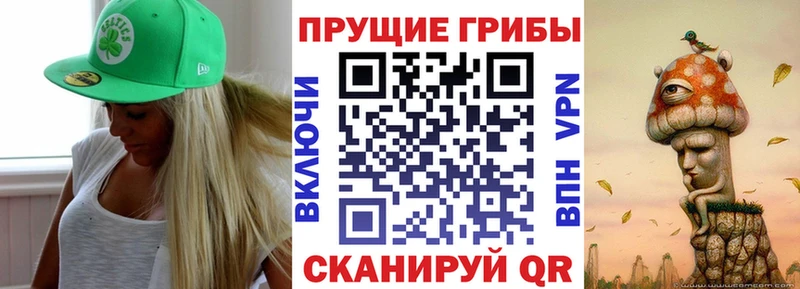 закладка  Ясногорск  Псилоцибиновые грибы мицелий 